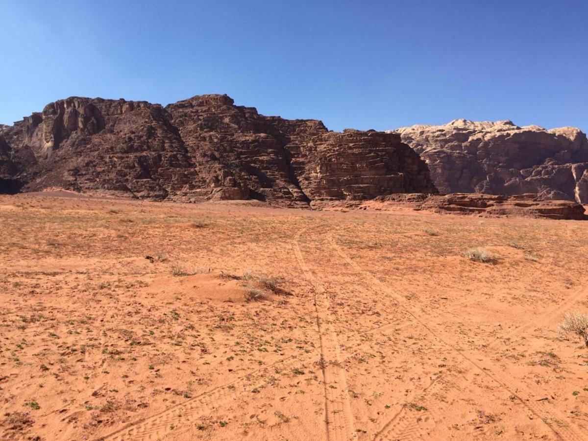 Wadi Rum Bedouin Experience Exterior foto